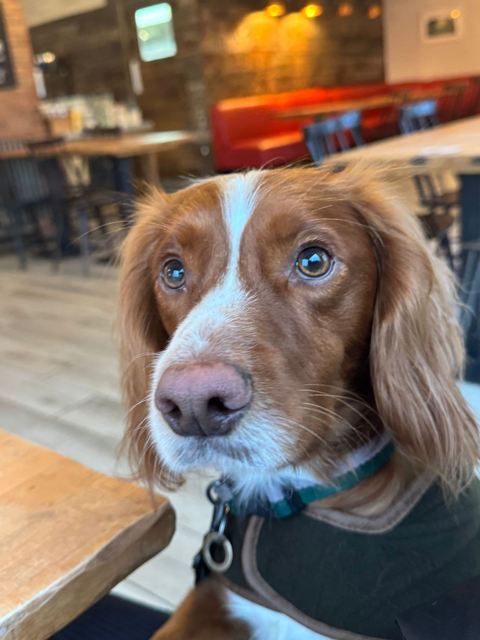 Hugo's activity photo 1