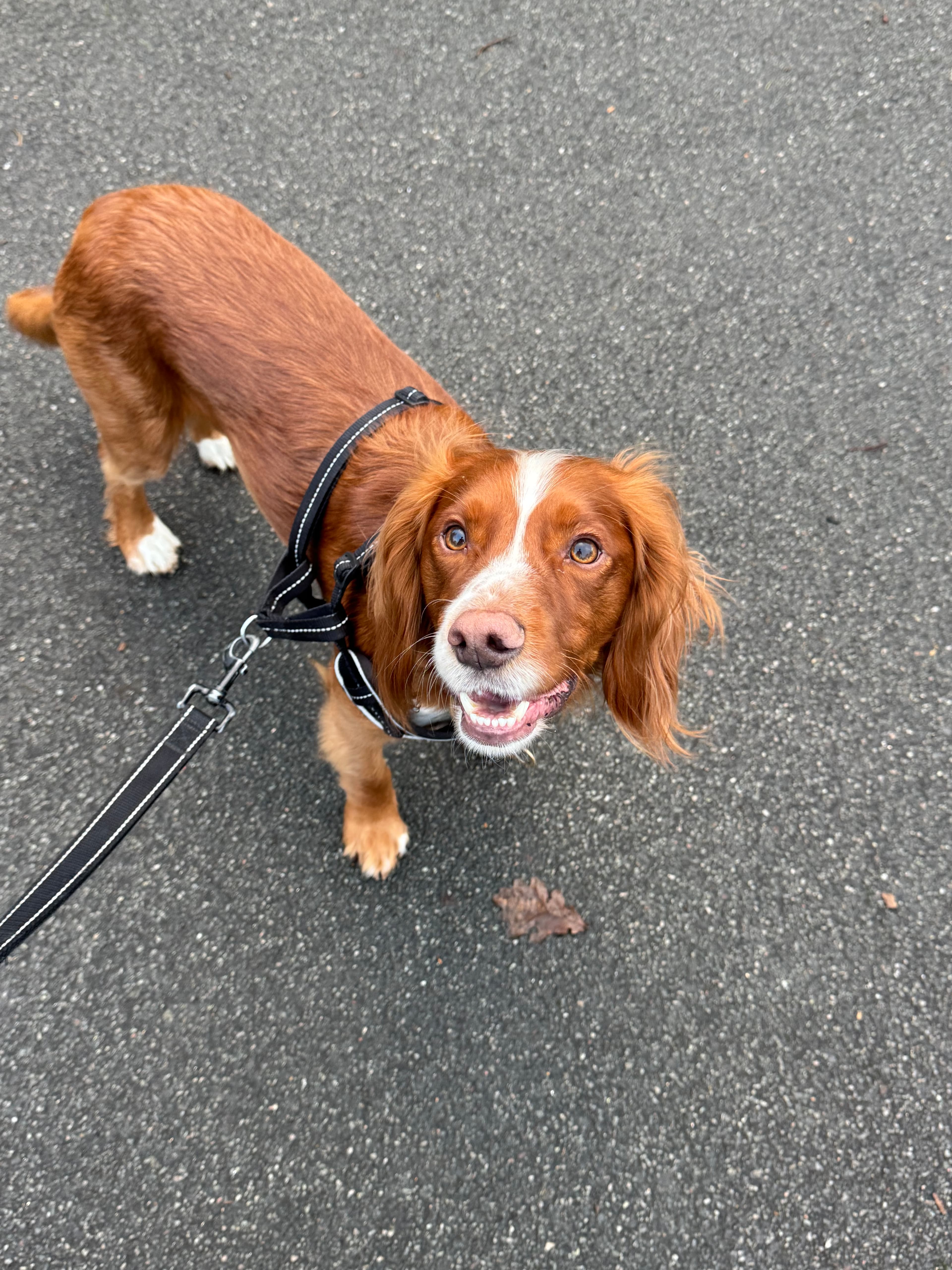 Hugo's activity photo 1